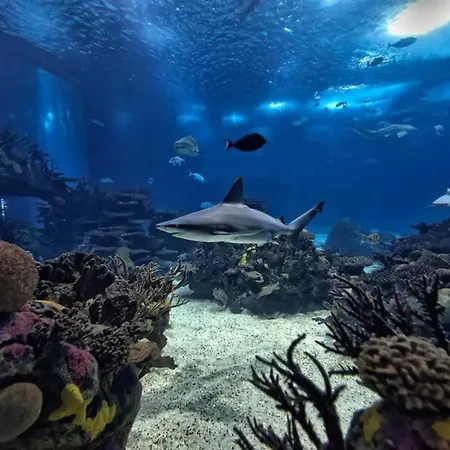 아파트 1-bedroom Flat With Terrace, Near Metro & Arena