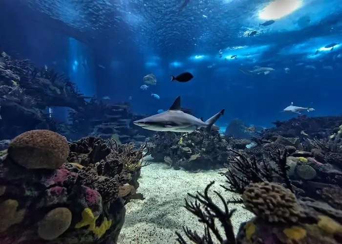 Apartman 1-bedroom Flat With Terrace, Near Metro & Arena